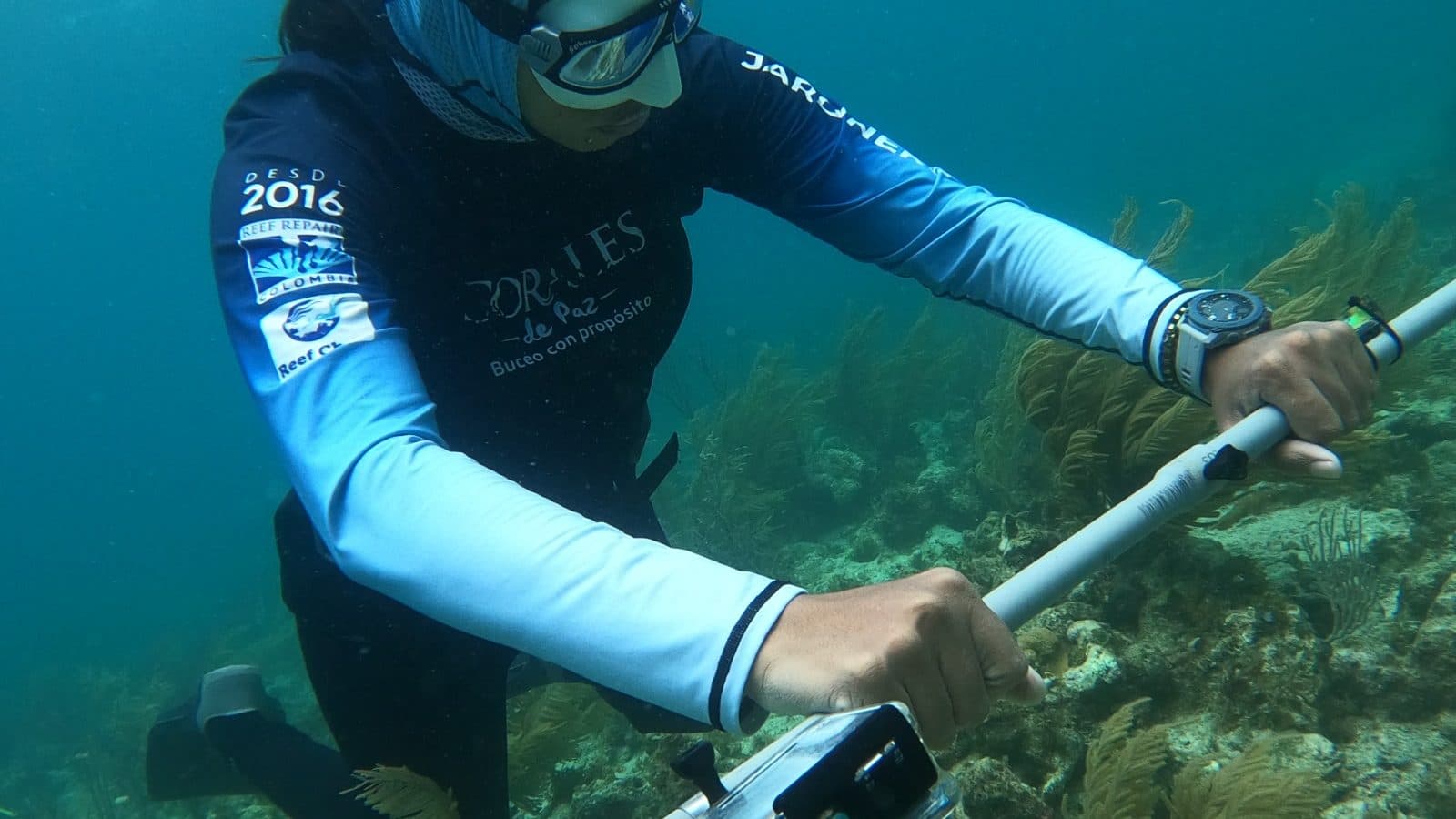 Underwater reef survey scene