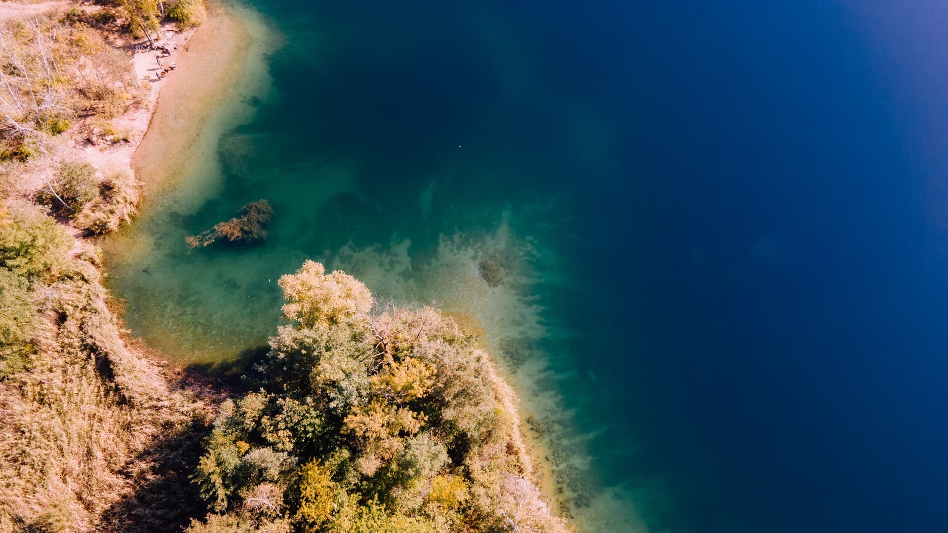 Coral reef structure with vibrant marine life