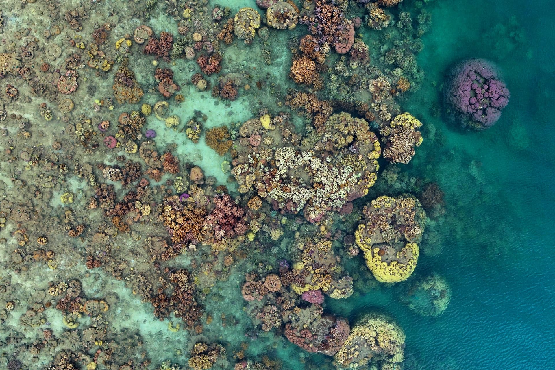 Coastline and shallow reef flats from above
