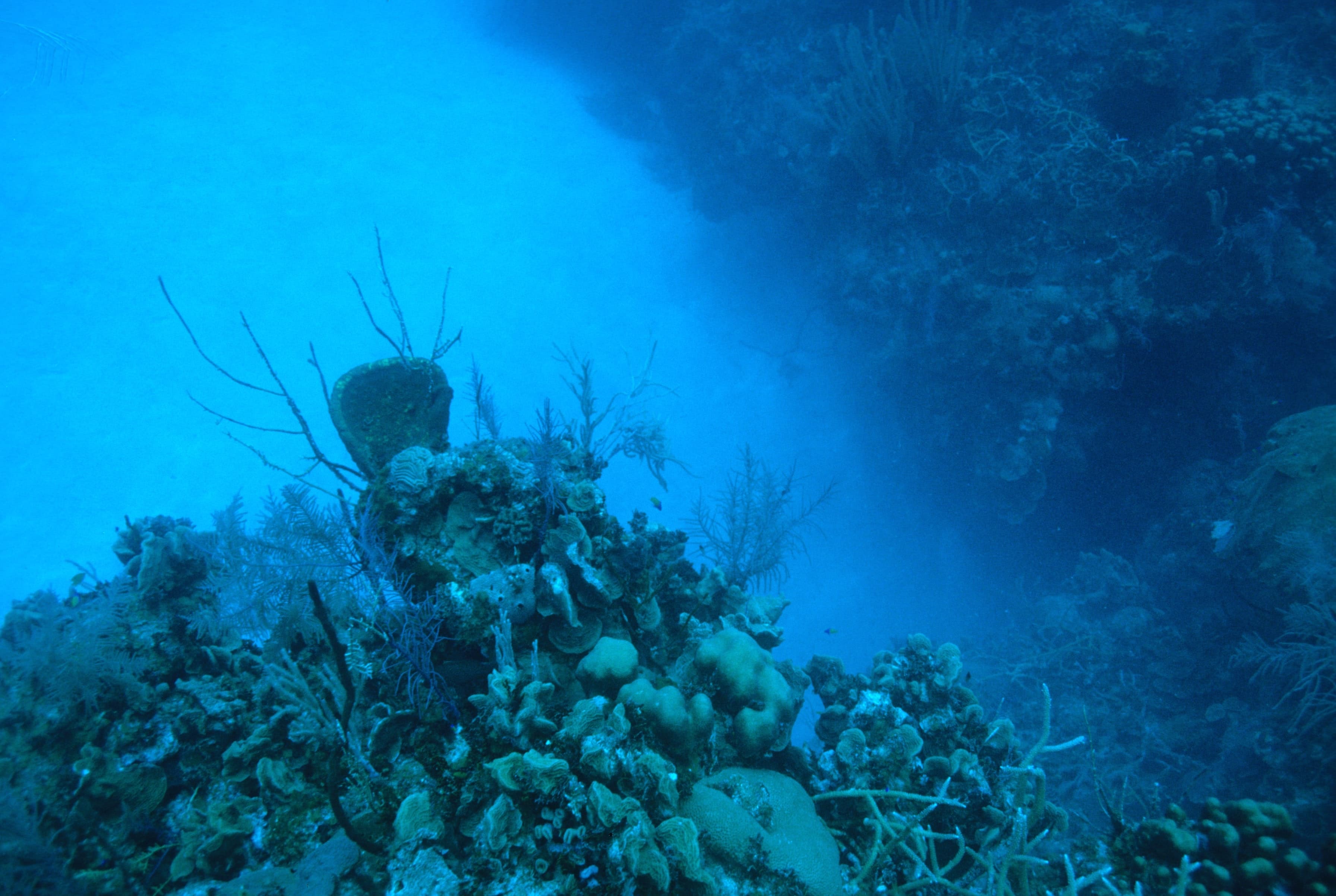 Open ocean surface with layered blue tones