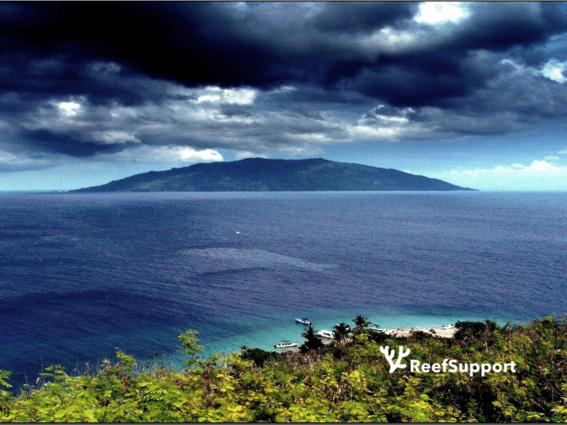 Coastal mangrove and reef landscape